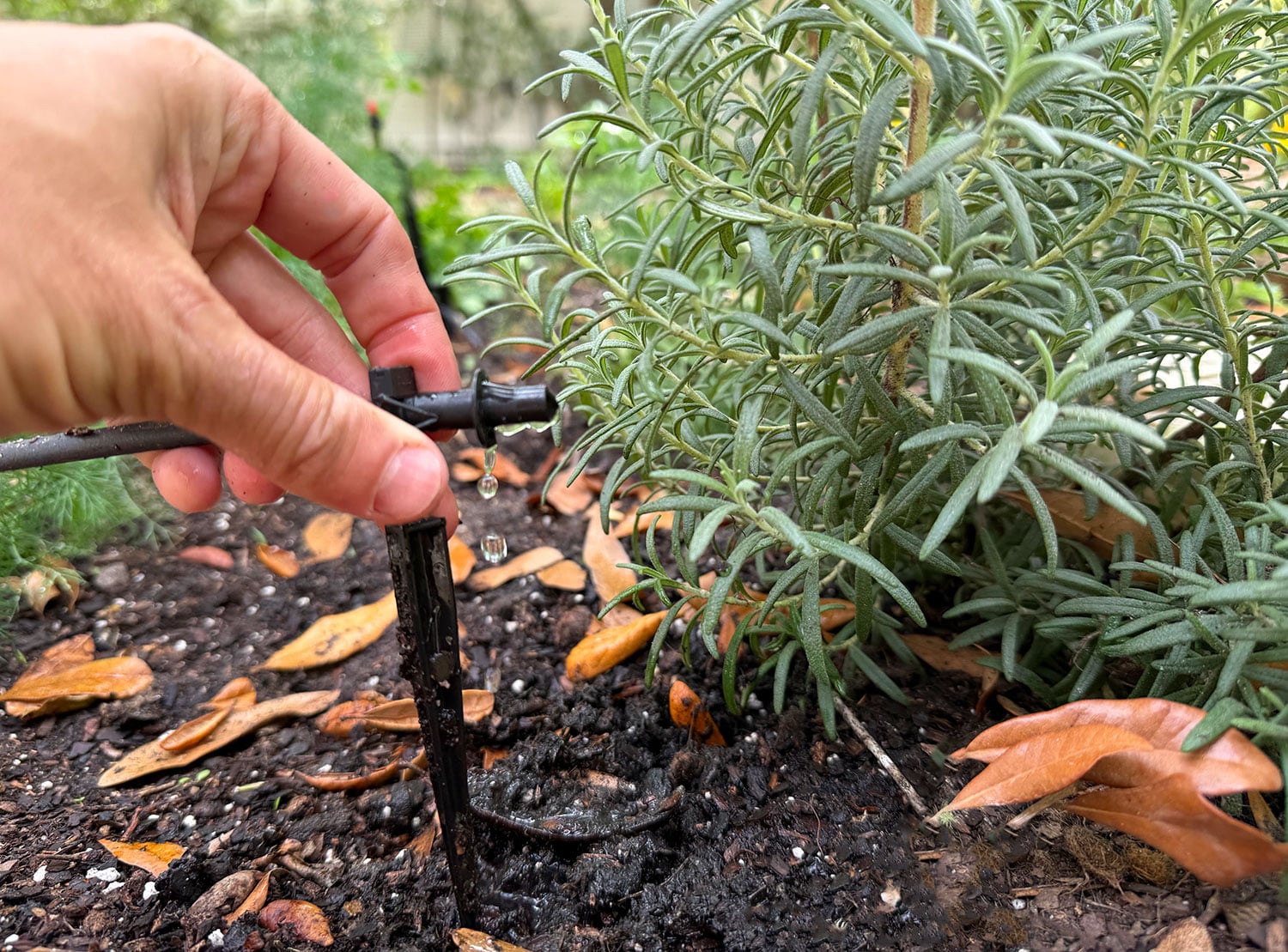 How To Install a Drip Irrigation System